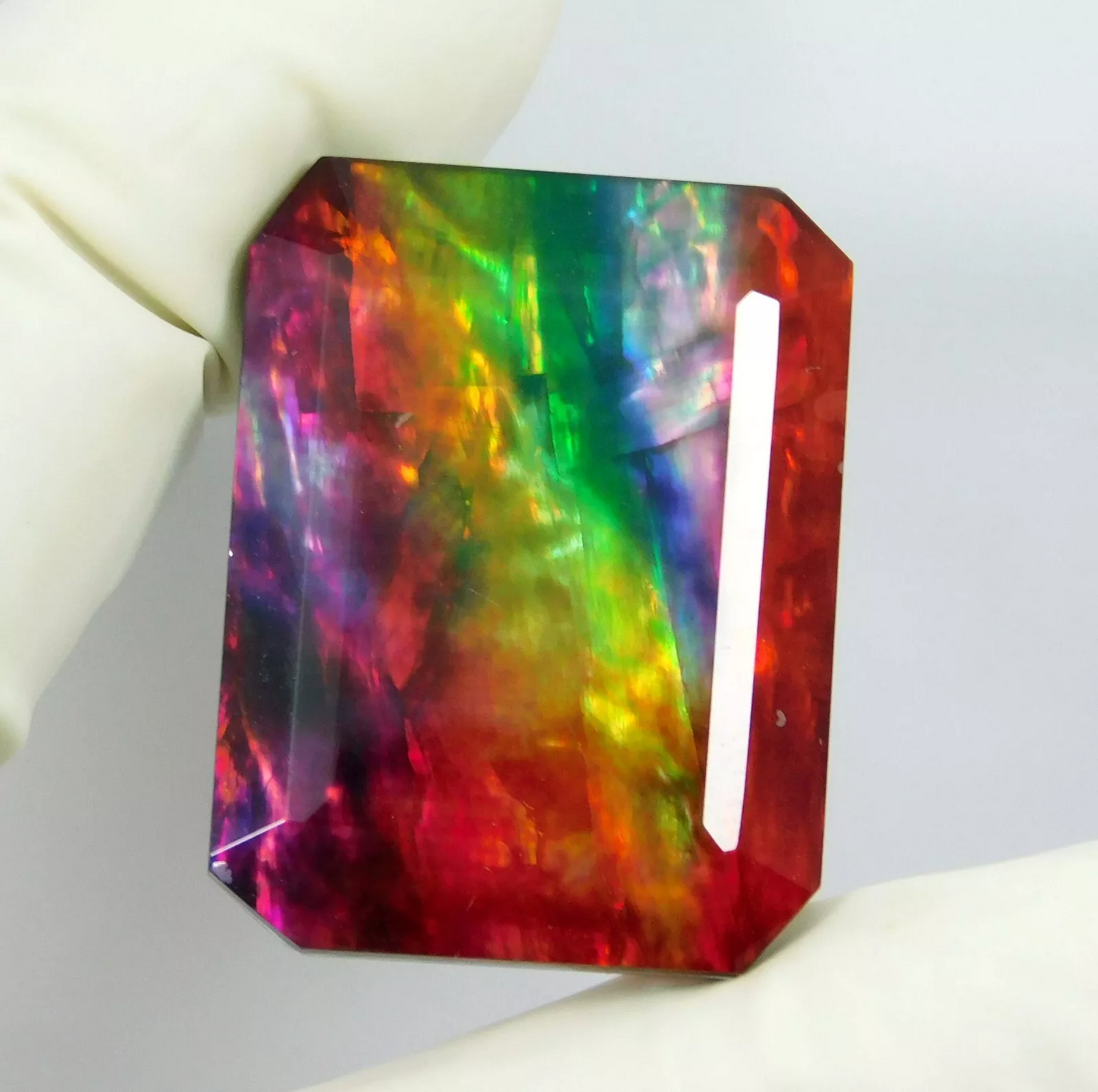 Doublet 50.70 Ct Certified Natural Ammolite Opal-Like Organic Loose Gemstone
