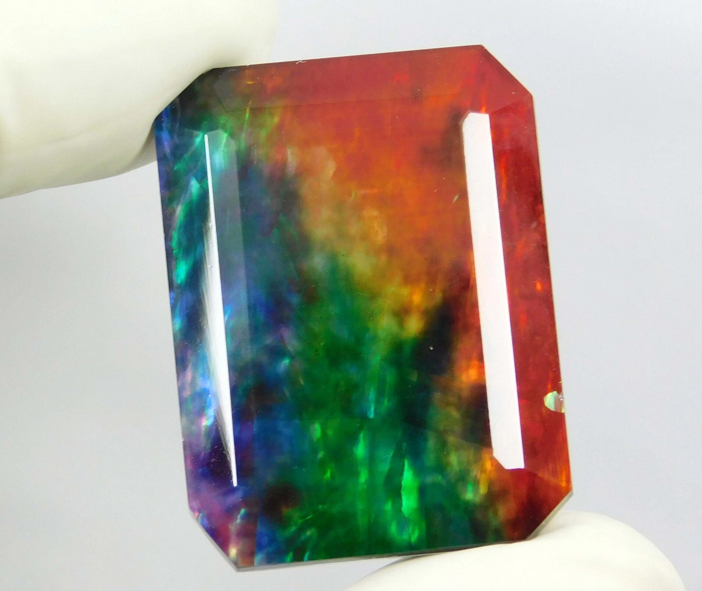 Doublet 50.70 Ct Certified Natural Ammolite Opal-Like Organic Loose Gemstone