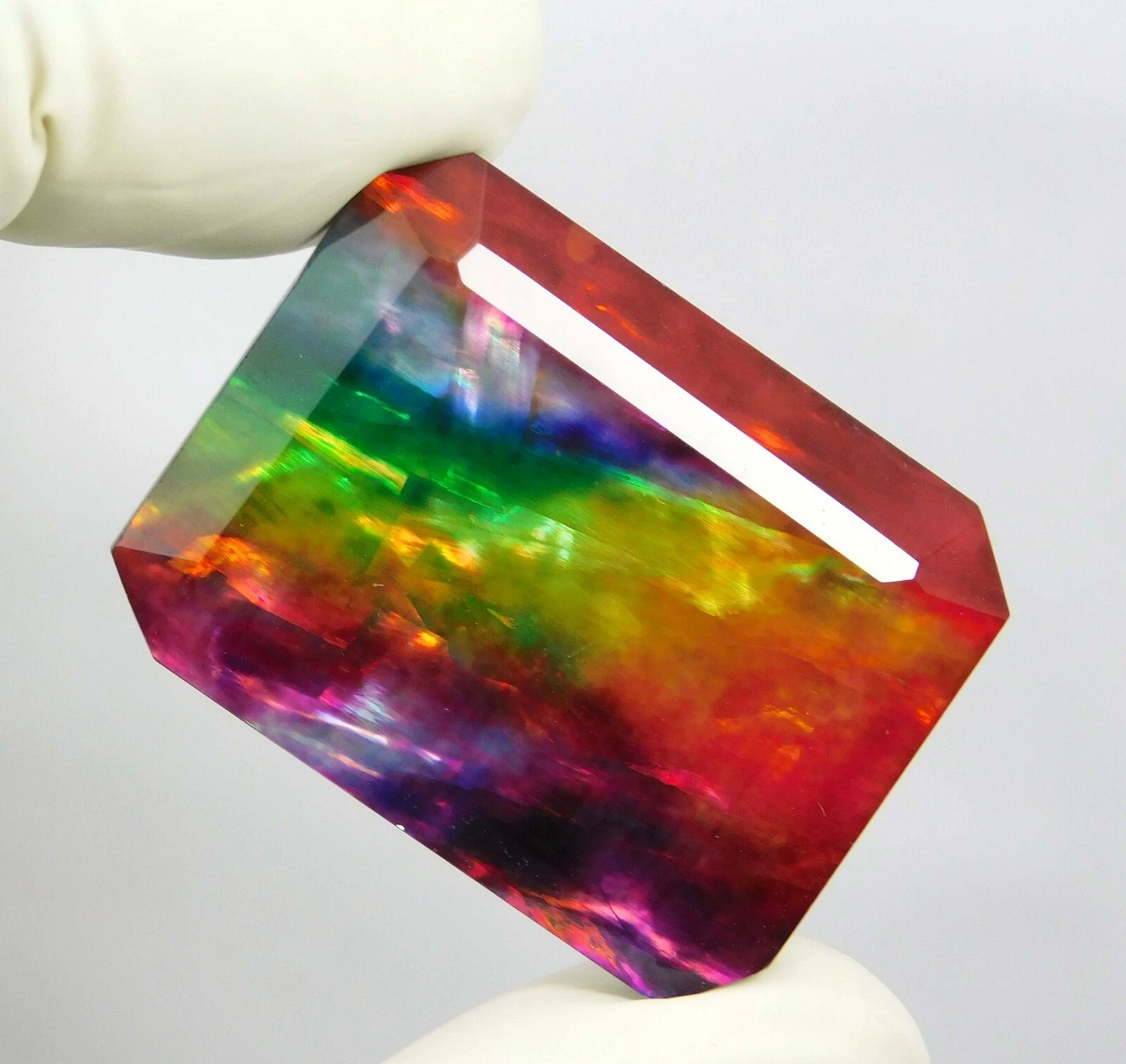Doublet 50.70 Ct Certified Natural Ammolite Opal-Like Organic Loose Gemstone